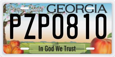 GA license plate PZP0810