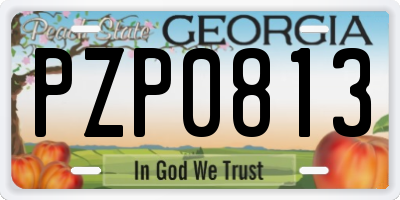 GA license plate PZP0813