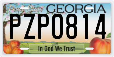 GA license plate PZP0814