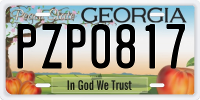 GA license plate PZP0817