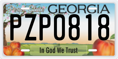 GA license plate PZP0818
