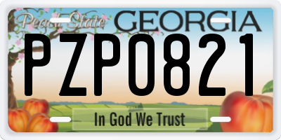 GA license plate PZP0821