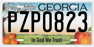 GA license plate PZP0823