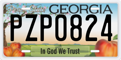 GA license plate PZP0824