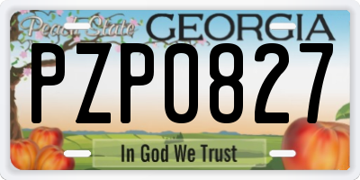 GA license plate PZP0827