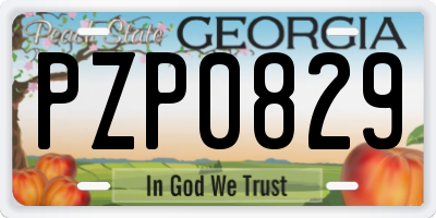 GA license plate PZP0829