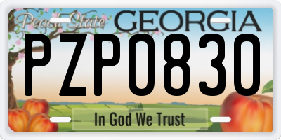 GA license plate PZP0830