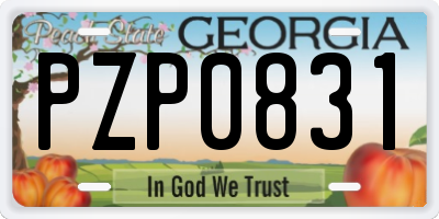 GA license plate PZP0831