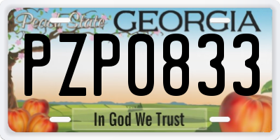 GA license plate PZP0833