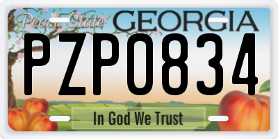 GA license plate PZP0834