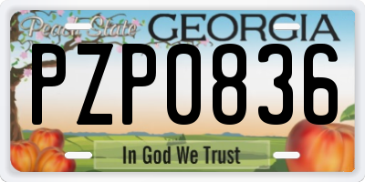 GA license plate PZP0836