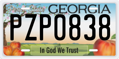 GA license plate PZP0838