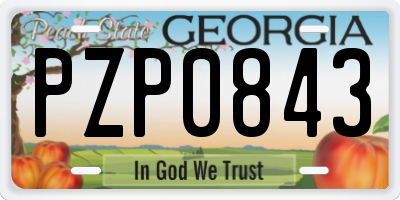 GA license plate PZP0843