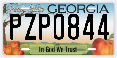 GA license plate PZP0844