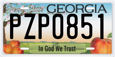 GA license plate PZP0851