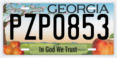 GA license plate PZP0853
