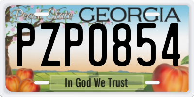 GA license plate PZP0854