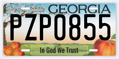GA license plate PZP0855