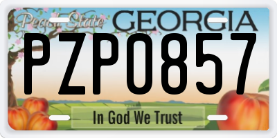 GA license plate PZP0857