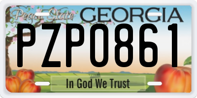 GA license plate PZP0861