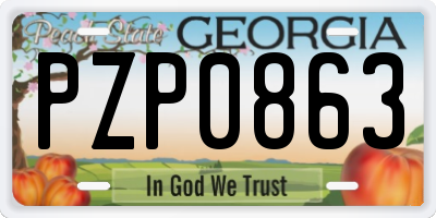 GA license plate PZP0863