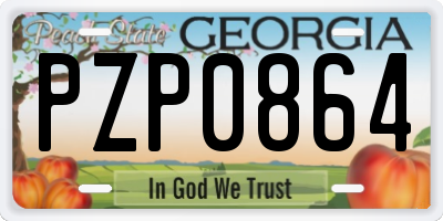 GA license plate PZP0864