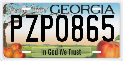 GA license plate PZP0865