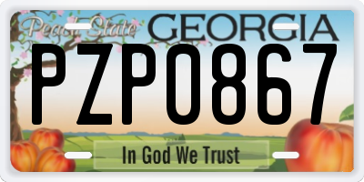 GA license plate PZP0867