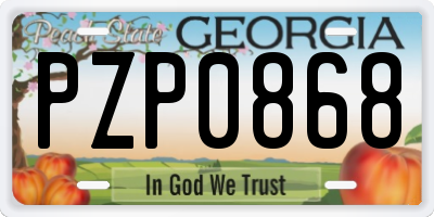 GA license plate PZP0868