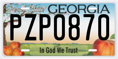 GA license plate PZP0870