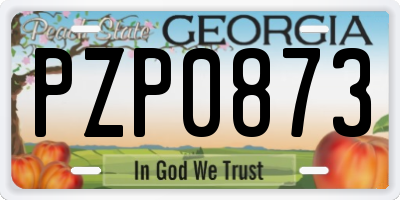 GA license plate PZP0873