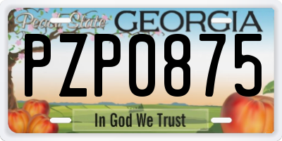 GA license plate PZP0875