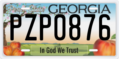 GA license plate PZP0876