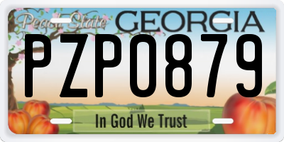 GA license plate PZP0879