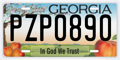 GA license plate PZP0890