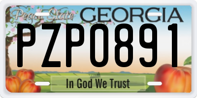 GA license plate PZP0891