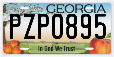 GA license plate PZP0895
