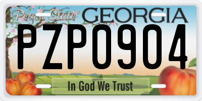 GA license plate PZP0904