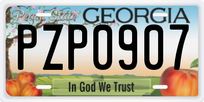 GA license plate PZP0907