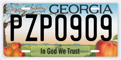 GA license plate PZP0909