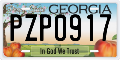 GA license plate PZP0917