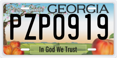 GA license plate PZP0919