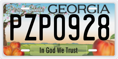 GA license plate PZP0928