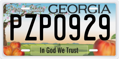 GA license plate PZP0929