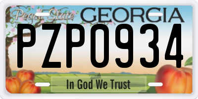 GA license plate PZP0934