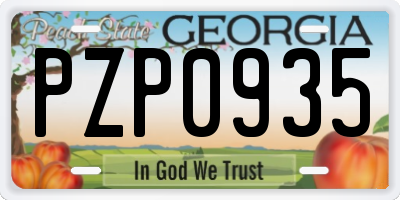 GA license plate PZP0935