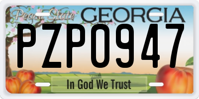 GA license plate PZP0947