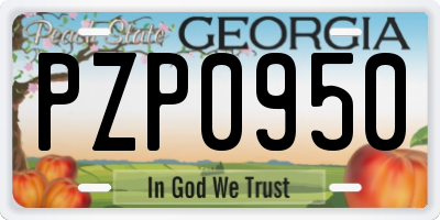 GA license plate PZP0950
