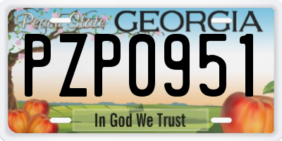 GA license plate PZP0951