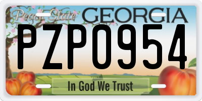 GA license plate PZP0954